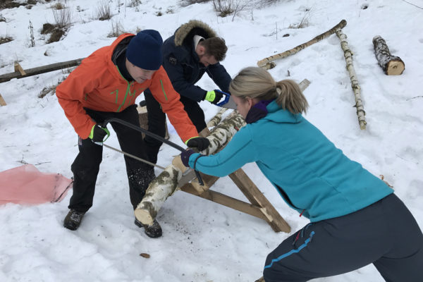 Tømmerhogst med Timbr Foredrag med Timbr